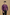 Violet Classic Solid Shirt